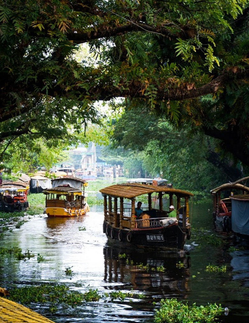 Kashmir