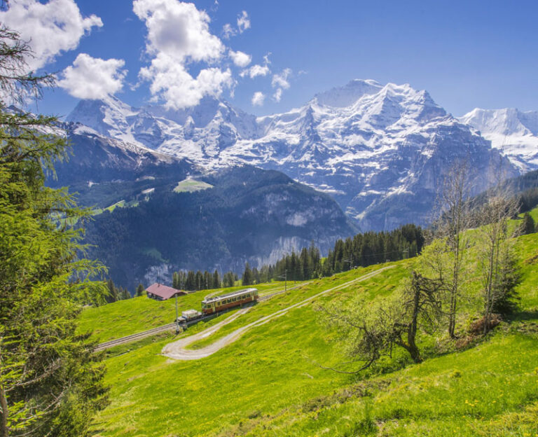 Read more about the article Lorem Ipsum is simply dummy text