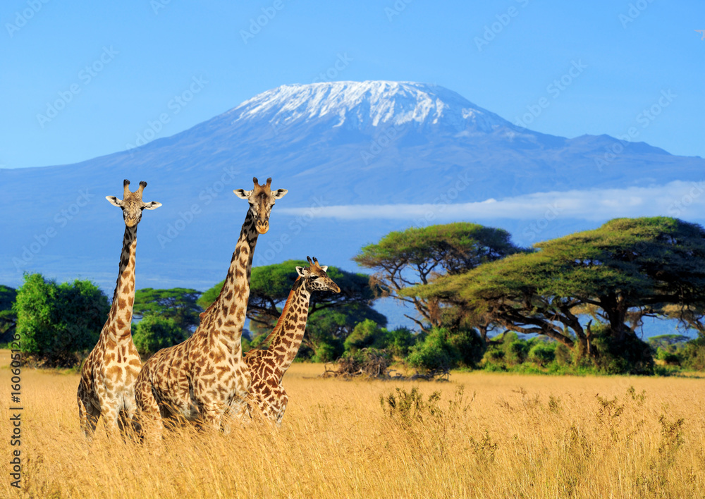 Kenya in 5 Days – Safari, Savannah & Scenic Wonders