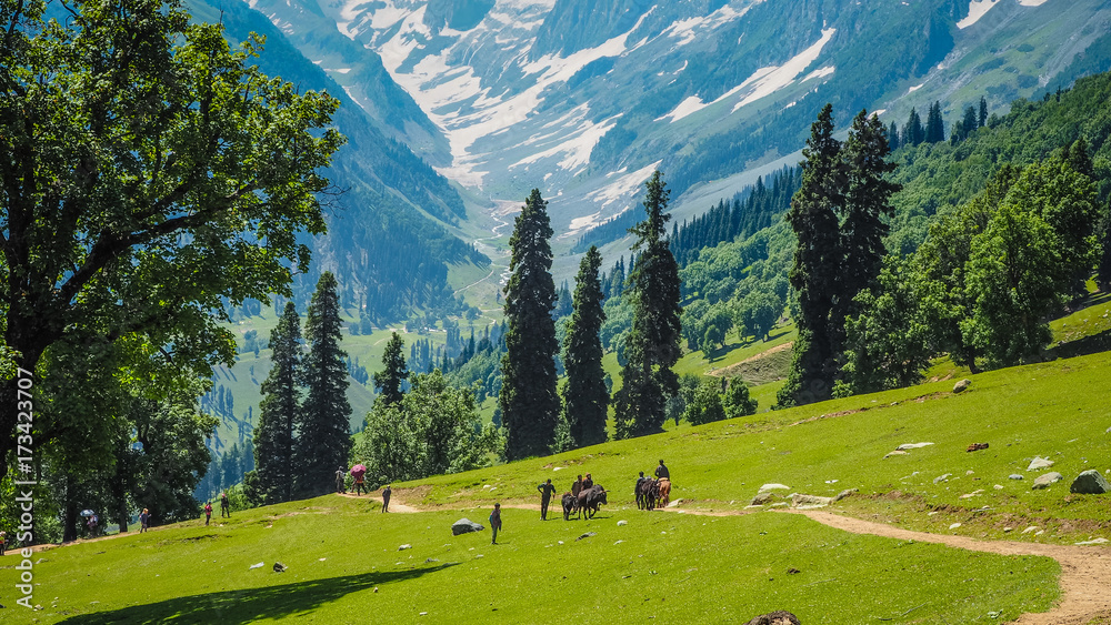 4-Day Kashmir Tour: Srinagar, Gulmarg, Pahalgam, Sonamarg Highlights