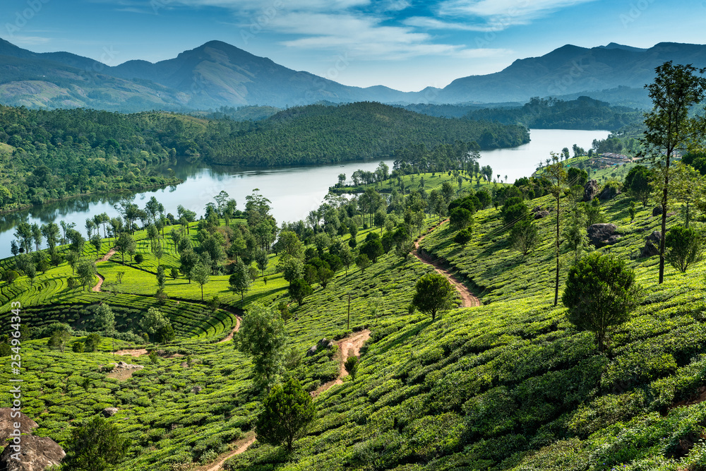 3-Day Kerala Tour: Backwaters, Hills & Heritage