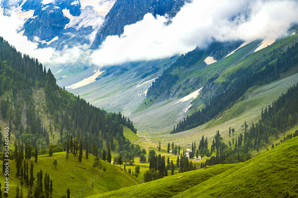 Explore the Paradise on Earth – 8-Day Kashmir Tour