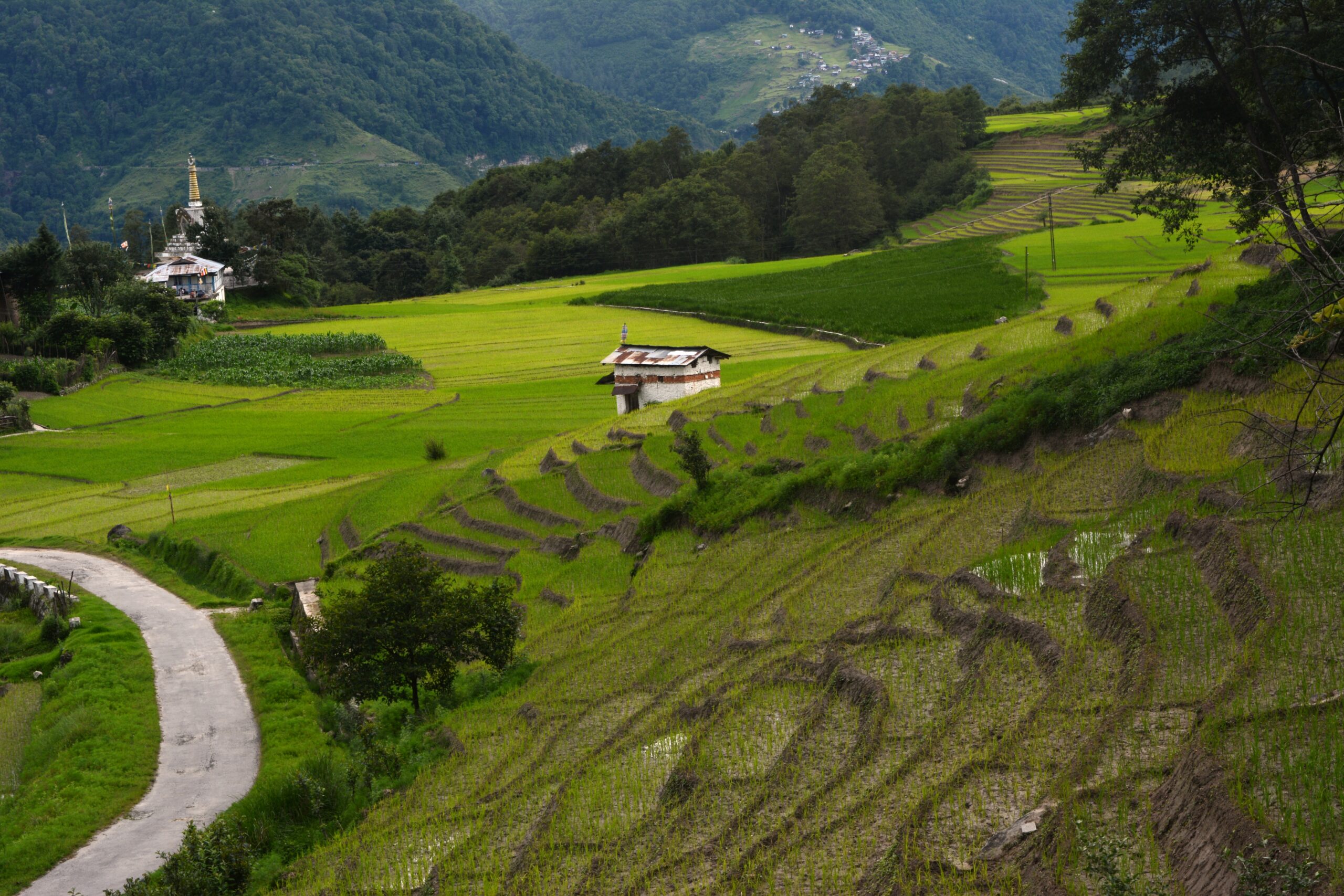 “Mesmerizing Arunachal Pradesh Tour – 7 Days Adventure to the Land of Monasteries & Mountains”